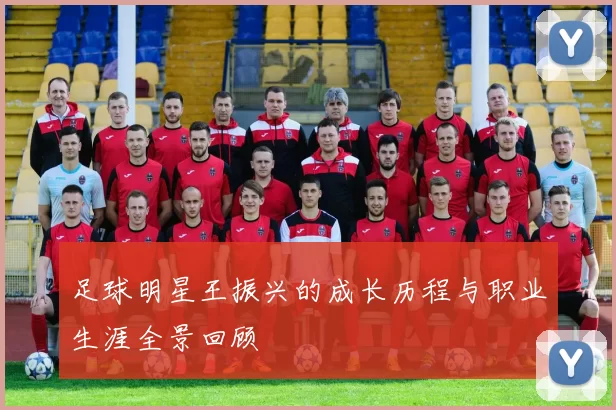 足球明星王振兴的成长历程与职业生涯全景回顾