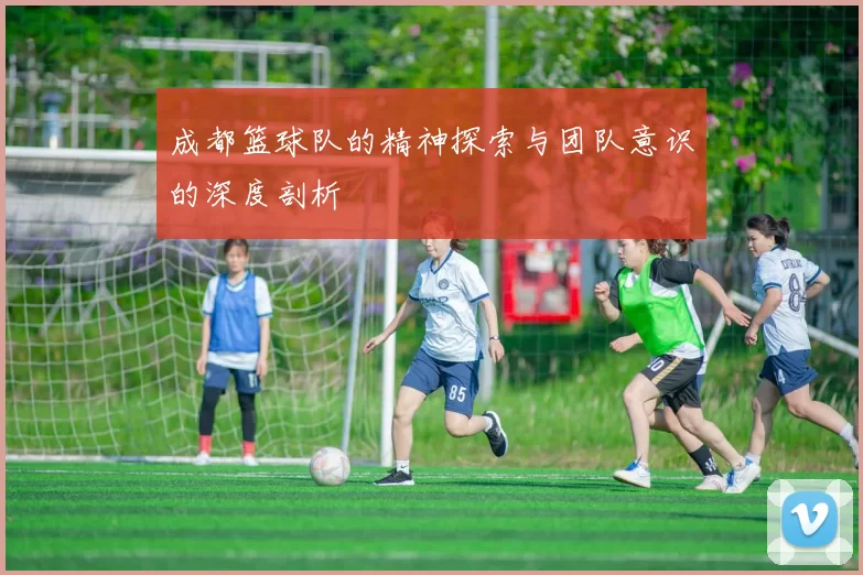 成都篮球队的精神探索与团队意识的深度剖析