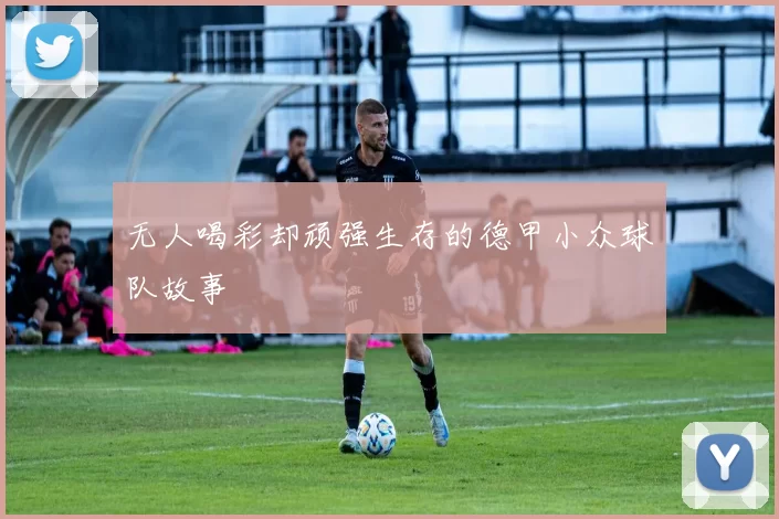 无人喝彩却顽强生存的德甲小众球队故事