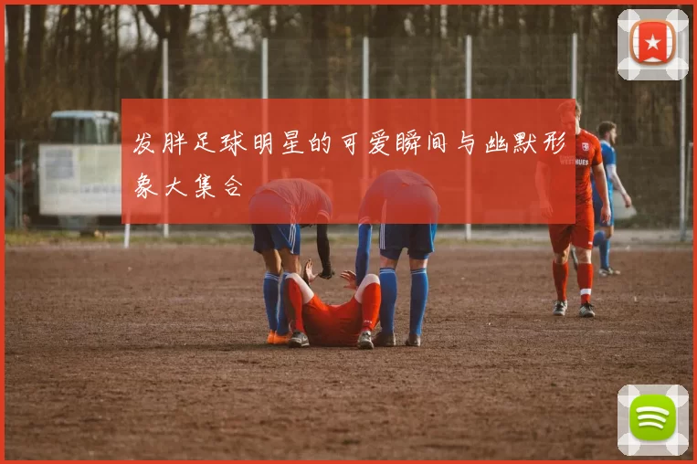 发胖足球明星的可爱瞬间与幽默形象大集合