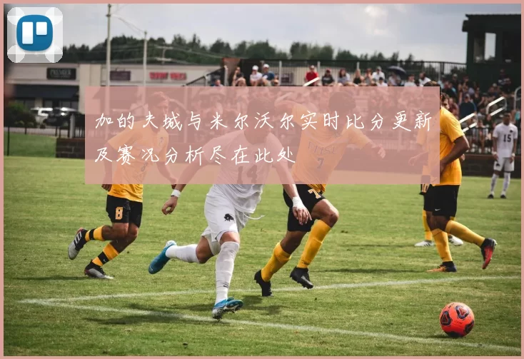 加的夫城与米尔沃尔实时比分更新及赛况分析尽在此处