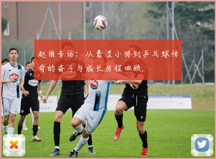 赵丽专访：从青涩小将到乒乓球传奇的奋斗与成长历程回顾