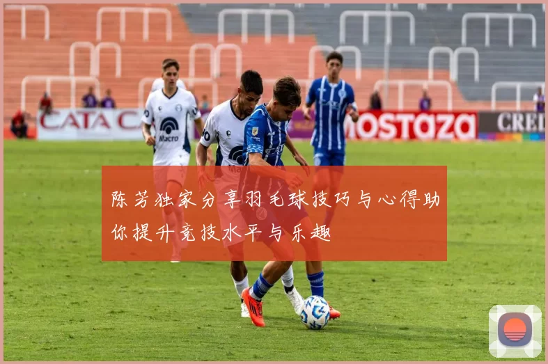 陈芳独家分享羽毛球技巧与心得助你提升竞技水平与乐趣