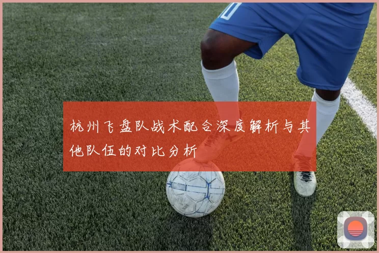杭州飞盘队战术配合深度解析与其他队伍的对比分析
