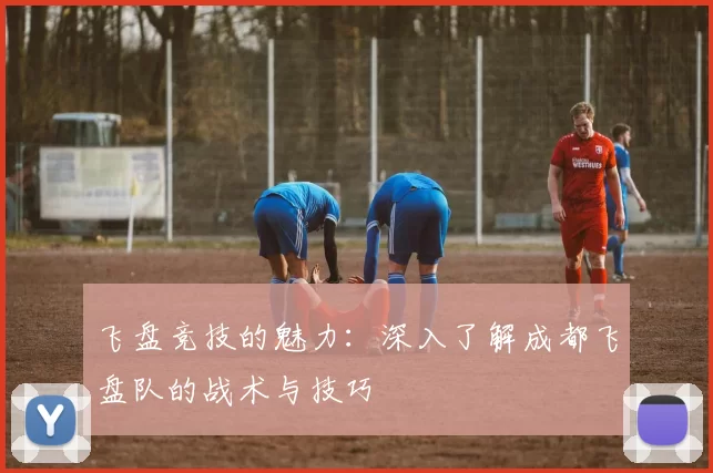 飞盘竞技的魅力：深入了解成都飞盘队的战术与技巧