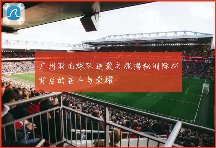 广州羽毛球队逆袭之旅揭秘洲际杯背后的奋斗与荣耀