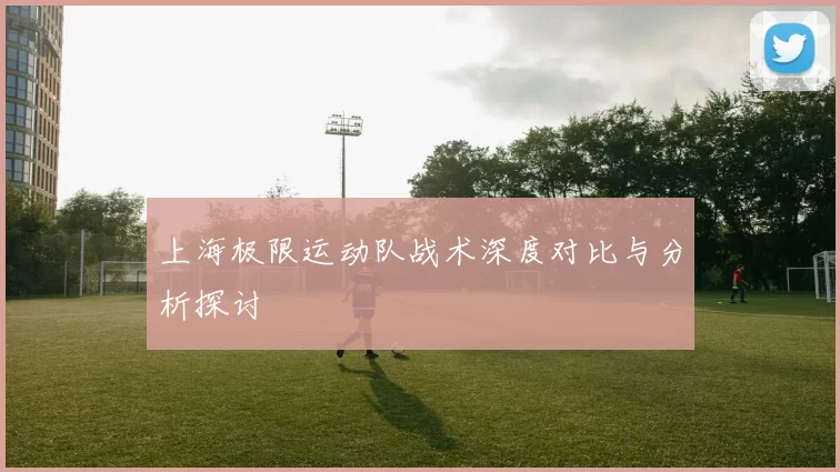 上海极限运动队战术深度对比与分析探讨