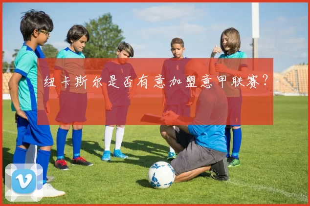 纽卡斯尔是否有意加盟意甲联赛？