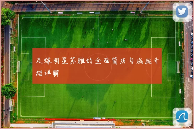 足球明星苏雅的全面简历与成就介绍详解