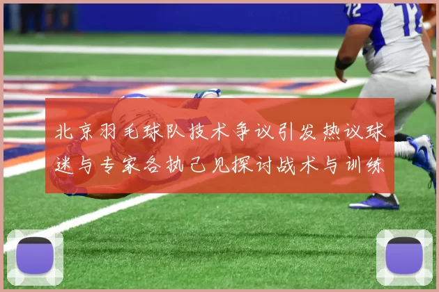 北京羽毛球队技术争议引发热议球迷与专家各执己见探讨战术与训练问题