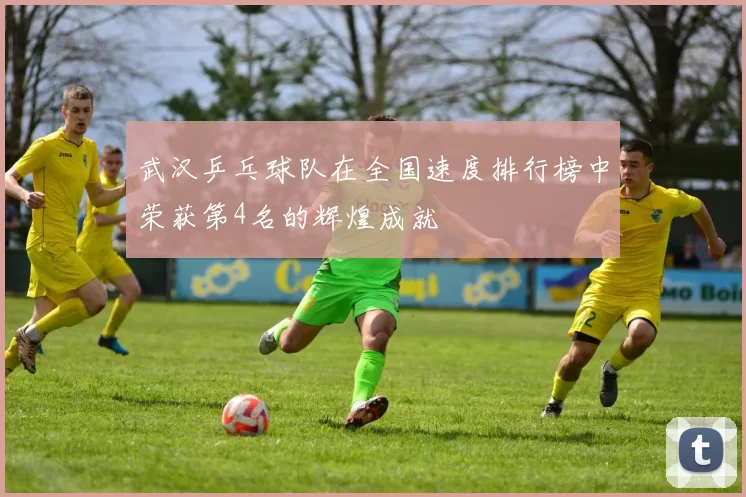 武汉乒乓球队在全国速度排行榜中荣获第4名的辉煌成就