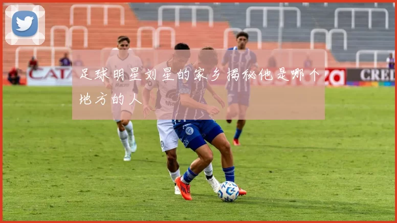 足球明星刘星的家乡揭秘他是哪个地方的人
