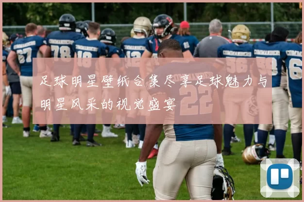 足球明星壁纸合集尽享足球魅力与明星风采的视觉盛宴