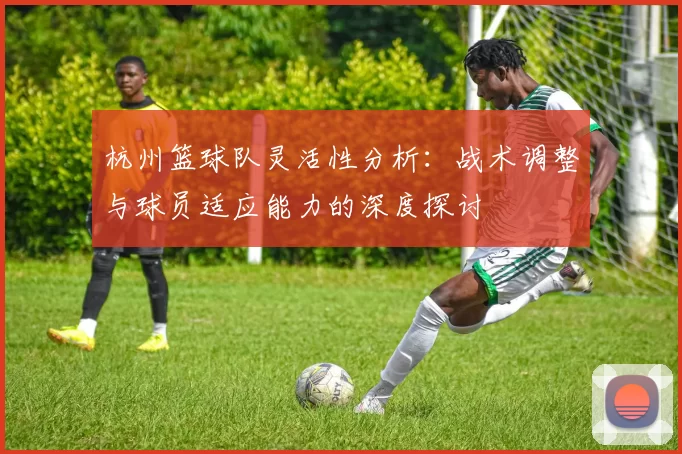 杭州篮球队灵活性分析：战术调整与球员适应能力的深度探讨