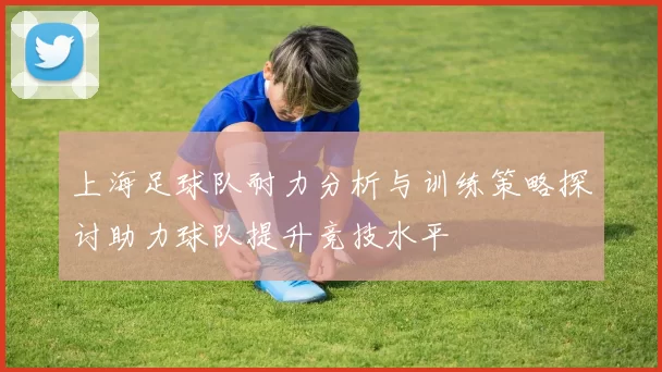 上海足球队耐力分析与训练策略探讨助力球队提升竞技水平