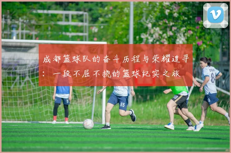 成都篮球队的奋斗历程与荣耀追寻：一段不屈不挠的篮球纪实之旅