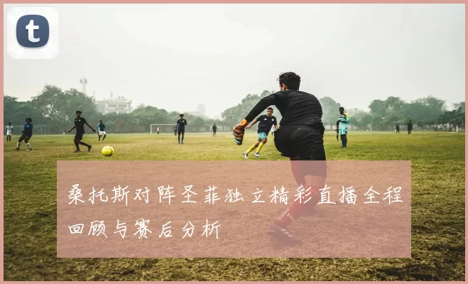 桑托斯对阵圣菲独立精彩直播全程回顾与赛后分析