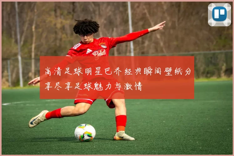 高清足球明星巴乔经典瞬间壁纸分享尽享足球魅力与激情