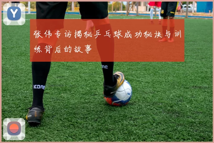 张伟专访揭秘乒乓球成功秘诀与训练背后的故事