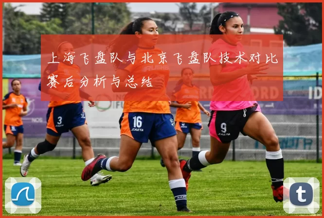 上海飞盘队与北京飞盘队技术对比赛后分析与总结
