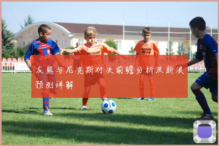 灰熊与尼克斯对决前瞻分析及新浪预测详解