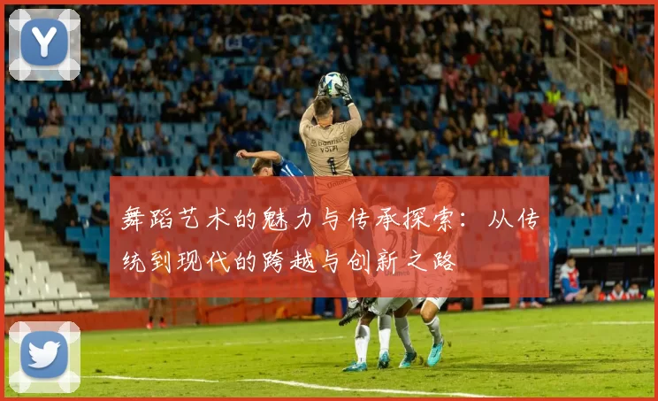 舞蹈艺术的魅力与传承探索：从传统到现代的跨越与创新之路