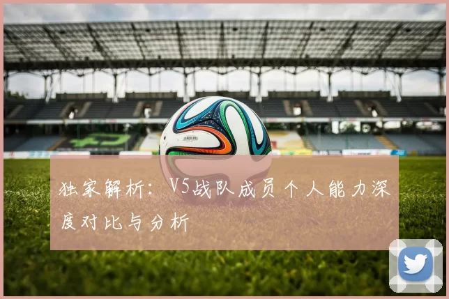独家解析：V5战队成员个人能力深度对比与分析