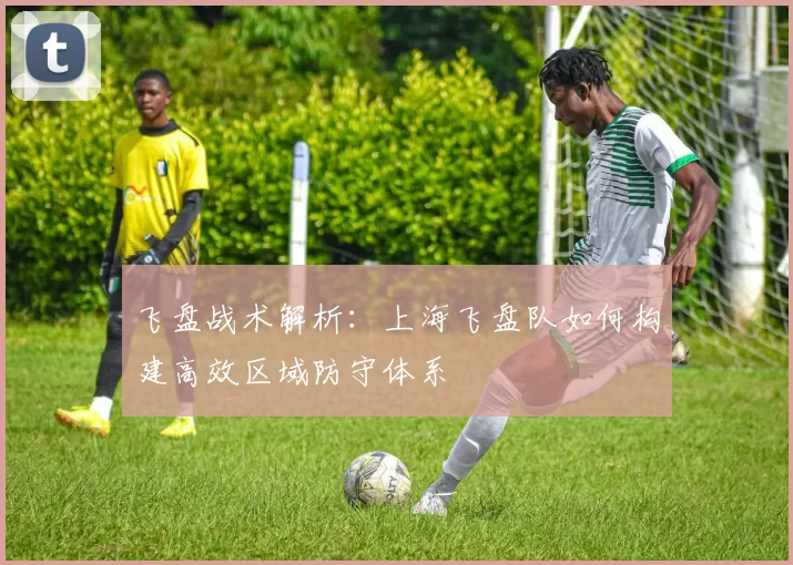 飞盘战术解析：上海飞盘队如何构建高效区域防守体系